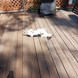 Meet your Posher, Jackie